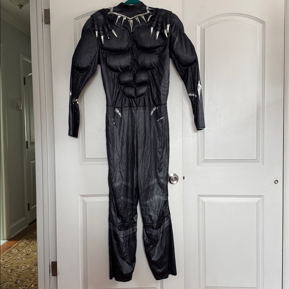 Black Panther Costume with Silver Accents